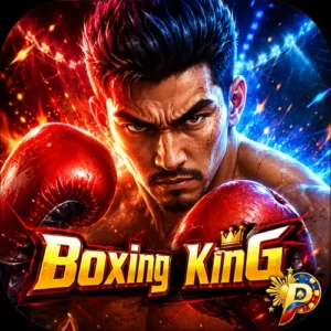 boxingking